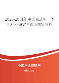 2025-2031年中國充放電一體槍行業(yè)研究與市場(chǎng)前景分析