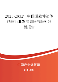 2025-2031年中國(guó)磁致伸縮傳感器行業(yè)發(fā)展調(diào)研與趨勢(shì)分析報(bào)告