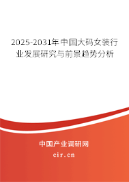 2024-2030年中國大碼女裝行業(yè)發(fā)展研究與前景趨勢分析