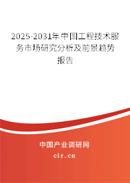 2025-2031年中國(guó)工程技術(shù)服務(wù)市場(chǎng)研究分析及前景趨勢(shì)報(bào)告