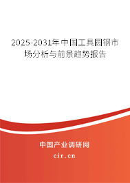 2025-2031年中國工具圓鋼市場分析與前景趨勢報告