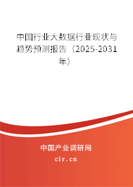 中國行業(yè)大數(shù)據(jù)行業(yè)現(xiàn)狀與趨勢預(yù)測報(bào)告（2025-2031年）