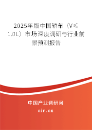 2025年版中國轎車（V≤1.0L）市場深度調(diào)研與行業(yè)前景預(yù)測報告