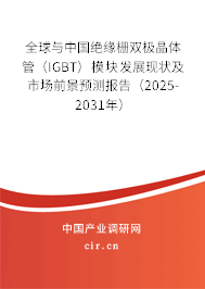 全球與中國絕緣柵雙極晶體管（IGBT）模塊發(fā)展現(xiàn)狀及市場前景預測報告（2025-2031年）