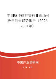 中國(guó)脈沖磁控管行業(yè)市場(chǎng)分析與前景趨勢(shì)報(bào)告（2025-2031年）
