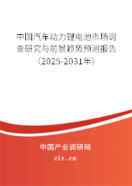 中國汽車動力鋰電池市場調(diào)查研究與前景趨勢預(yù)測報(bào)告（2025-2031年）