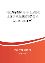 中國汽車塑料零件行業(yè)現(xiàn)狀全面調(diào)研及發(fā)展趨勢分析（2025-2031年）