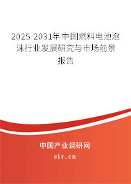 2025-2031年中國(guó)燃料電池泡沫行業(yè)發(fā)展研究與市場(chǎng)前景報(bào)告