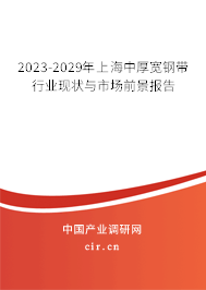 2023-2029年上海中厚寬鋼帶行業(yè)現(xiàn)狀與市場前景報告 2023-2029年上海中厚寬鋼帶行業(yè)現(xiàn)狀與市場前景報告