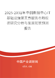 2025-2031年中國數(shù)據(jù)中心IT基礎(chǔ)設(shè)施第三方服務(wù)市場現(xiàn)狀研究分析與發(fā)展前景預(yù)測報告