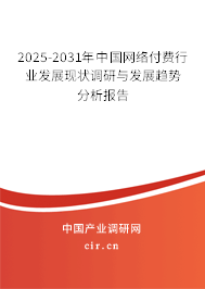 2025-2031年中國(guó)網(wǎng)絡(luò)付費(fèi)行業(yè)發(fā)展現(xiàn)狀調(diào)研與發(fā)展趨勢(shì)分析報(bào)告