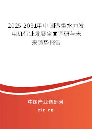 2025-2031年中國微型水力發(fā)電機(jī)行業(yè)發(fā)展全面調(diào)研與未來趨勢(shì)報(bào)告