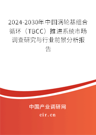 2024-2030年中國渦輪基組合循環(huán)（TBCC）推進(jìn)系統(tǒng)市場調(diào)查研究與行業(yè)前景分析報(bào)告