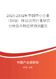 2025-2031年中國(guó)中小企業(yè)（SMB）移動(dòng)應(yīng)用行業(yè)研究分析及市場(chǎng)前景預(yù)測(cè)報(bào)告