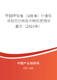 中國中型車（B級車）行業(yè)現(xiàn)狀研究分析及市場前景預(yù)測報告（2025年）