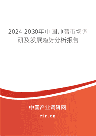 2023-2029年中國帥普市場調(diào)研及發(fā)展趨勢分析報告 2023-2029年中國帥普市場調(diào)研及發(fā)展趨勢分析報告