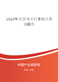 2010年北京電力行業(yè)統(tǒng)計咨詢報告