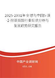 2025-2031年全球與中國(guó)5-溴-2-羥基煙酸行業(yè)現(xiàn)狀分析與發(fā)展趨勢(shì)研究報(bào)告