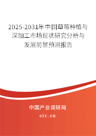 2025-2031年中國草莓種植與深加工市場現(xiàn)狀研究分析與發(fā)展前景預(yù)測報(bào)告