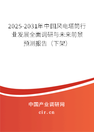 2024-2030年中國(guó)風(fēng)電塔筒行業(yè)發(fā)展全面調(diào)研與未來(lái)前景預(yù)測(cè)報(bào)告（下架）