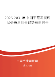 2024-2030年中國干花發(fā)展現(xiàn)狀分析與前景趨勢預測報告