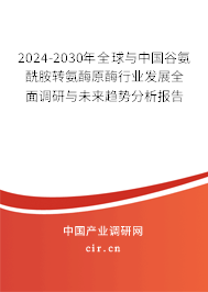 2024-2030年全球與中國(guó)谷氨酰胺轉(zhuǎn)氨酶原酶行業(yè)發(fā)展全面調(diào)研與未來(lái)趨勢(shì)分析報(bào)告 2024-2030年全球與中國(guó)谷氨酰胺轉(zhuǎn)氨酶原酶行業(yè)發(fā)展全面調(diào)研與未來(lái)趨勢(shì)分析報(bào)告
