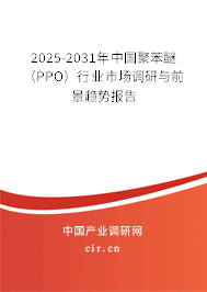 2025-2031年中國聚苯醚（PPO）行業(yè)市場調(diào)研與前景趨勢報告