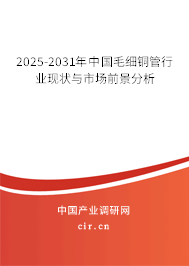 2025-2031年中國(guó)毛細(xì)銅管行業(yè)現(xiàn)狀與市場(chǎng)前景分析