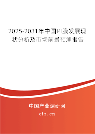 2025-2031年中國PI膜發(fā)展現(xiàn)狀分析及市場(chǎng)前景預(yù)測(cè)報(bào)告