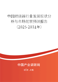 中國(guó)燃燒器行業(yè)發(fā)展現(xiàn)狀分析與市場(chǎng)前景預(yù)測(cè)報(bào)告（2025-2031年）