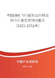 中國通航飛行服務站市場調研與行業(yè)前景預測報告（2025-2031年）