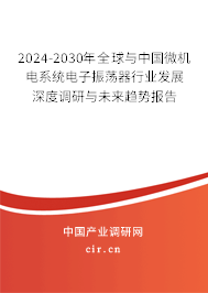 2024-2030年全球與中國(guó)微機(jī)電系統(tǒng)電子振蕩器行業(yè)發(fā)展深度調(diào)研與未來(lái)趨勢(shì)報(bào)告