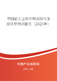 中國(guó)巖土工程市場(chǎng)調(diào)研與發(fā)展前景預(yù)測(cè)報(bào)告（2025年）
