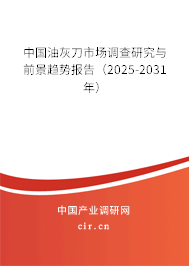 中國油灰刀市場調(diào)查研究與前景趨勢報(bào)告（2025-2031年）
