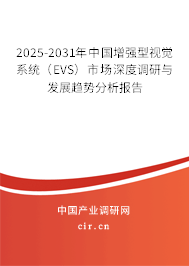 2025-2031年中國增強型視覺系統(tǒng)（EVS）市場深度調研與發(fā)展趨勢分析報告