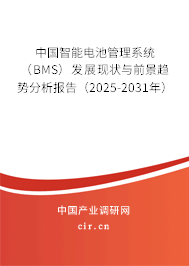 中國(guó)智能電池管理系統(tǒng)（BMS）發(fā)展現(xiàn)狀與前景趨勢(shì)分析報(bào)告（2025-2031年）