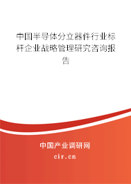 中國(guó)半導(dǎo)體分立器件行業(yè)標(biāo)桿企業(yè)戰(zhàn)略管理研究咨詢報(bào)告