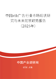 中國rtb廣告行業(yè)市場現(xiàn)狀研究與未來前景趨勢報告（2025年）