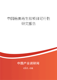 中國胎面再生膠項(xiàng)目可行性研究報(bào)告