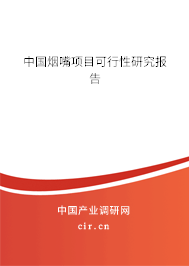 中國煙嘴項(xiàng)目可行性研究報告