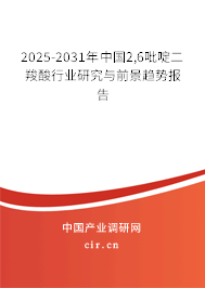2025-2031年中國2,6吡啶二羧酸行業(yè)研究與前景趨勢報告