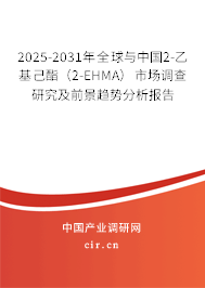 2025-2031年全球與中國(guó)2-乙基己酯（2-EHMA）市場(chǎng)調(diào)查研究及前景趨勢(shì)分析報(bào)告
