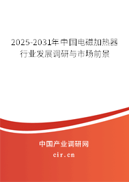 2025-2031年中國電磁加熱器行業(yè)發(fā)展調(diào)研與市場(chǎng)前景