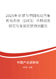 2025年全球與中國電動(dòng)汽車充電系統(tǒng)（EVCS）市場調(diào)查研究與發(fā)展前景預(yù)測報(bào)告