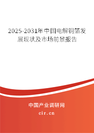 2025-2031年中國電解銅箔發(fā)展現(xiàn)狀及市場前景報告
