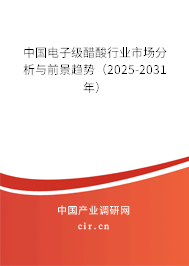 中國電子級醋酸行業(yè)市場分析與前景趨勢（2025-2031年）