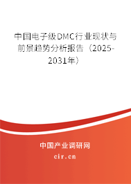 中國(guó)電子級(jí)DMC行業(yè)現(xiàn)狀與前景趨勢(shì)分析報(bào)告（2025-2031年）