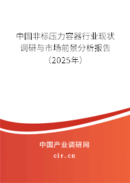 中國非標(biāo)壓力容器行業(yè)現(xiàn)狀調(diào)研與市場前景分析報告（2025年）