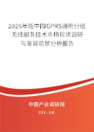 2025年版中國GPRS通用分組無線服務技術市場現(xiàn)狀調(diào)研與發(fā)展前景分析報告