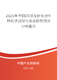 2025年中國高效光伏電池市場現(xiàn)狀調(diào)研與發(fā)展趨勢預(yù)測分析報告 2025年中國高效光伏電池市場現(xiàn)狀調(diào)研與發(fā)展趨勢預(yù)測分析報告